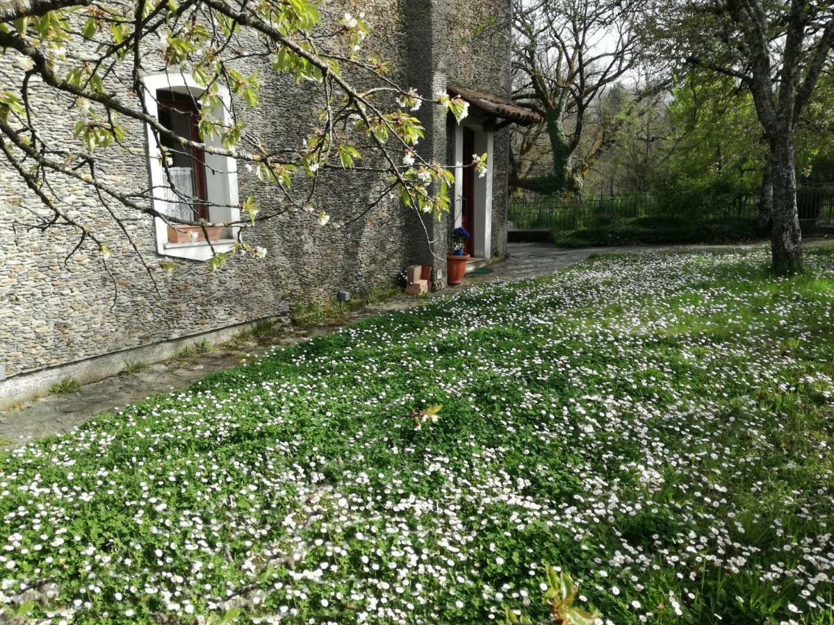 Casa Nel Verde Decollatura Exterior foto